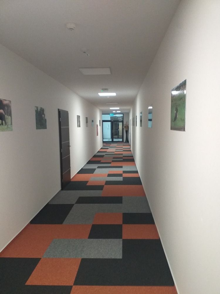 Pronájem, Komerční objekt - Kanceláře