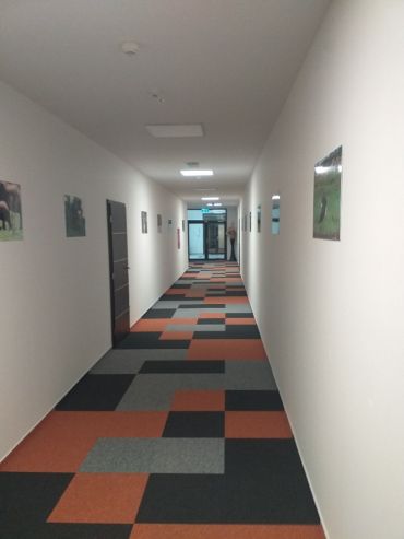 Pronájem, Komerční objekt - Kanceláře