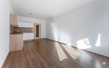 Byt 1+kk Praha, Byt